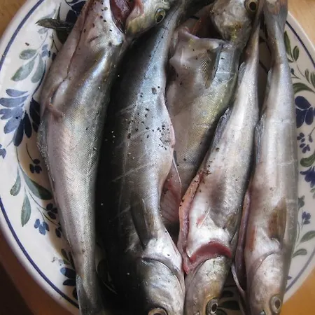 Gran Stabbur * Snåsa