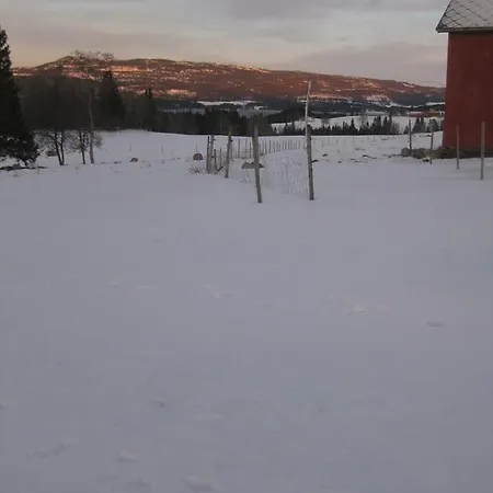 Gran Stabbur Snåsa